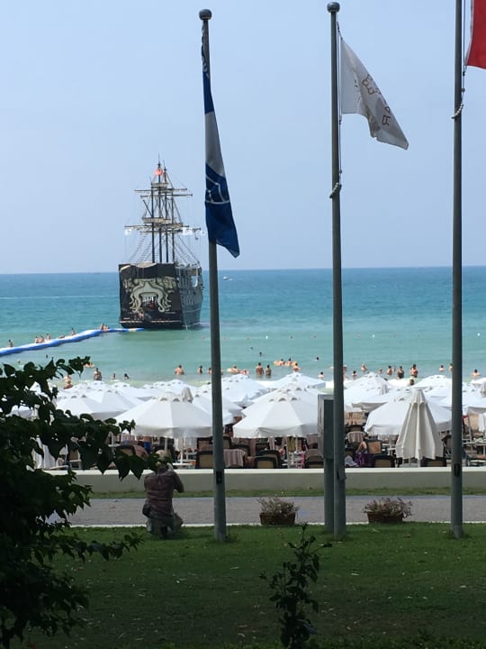 Strand Side Star Elegance