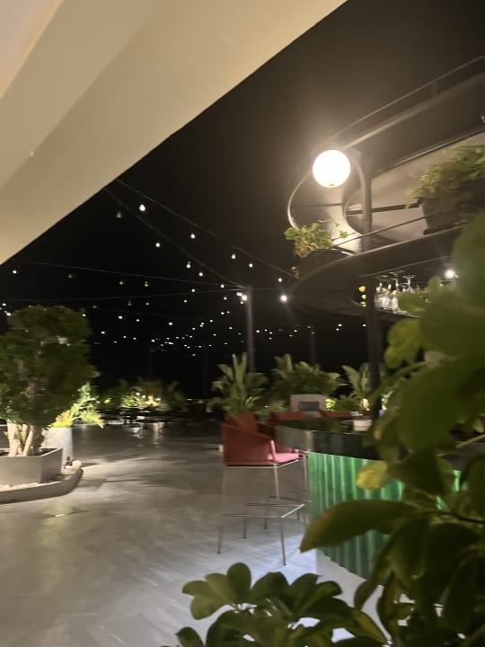 Gastro Paloma Oceana