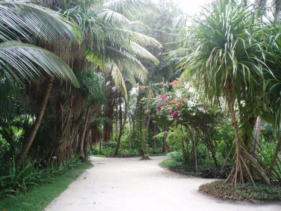 Weg Kuramathi Maldives
