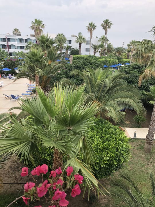 Gartenanlage Hotel Tigaki Beach