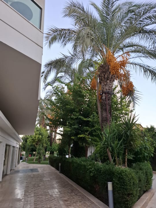 Gartenanlage Falcon Hotel