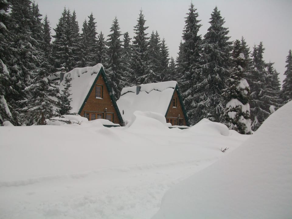 Finnhütten Berggasthof Brand - Finnhütten & Ferienhäuser am Rennsteig