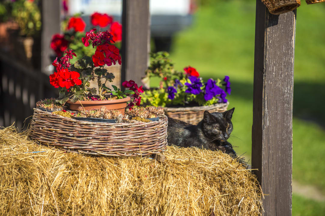 Sonstiges Castellum Hotel Hollókő