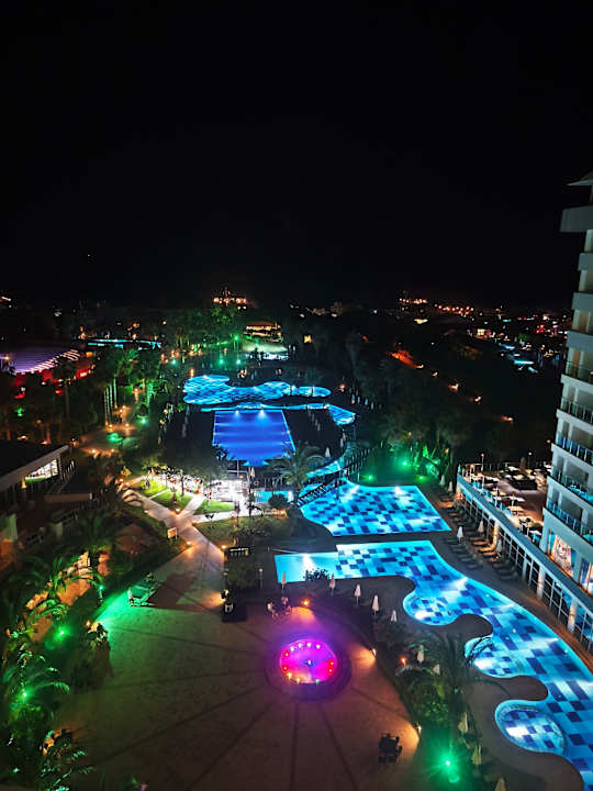 Zimmer Sherwood Exclusive Lara