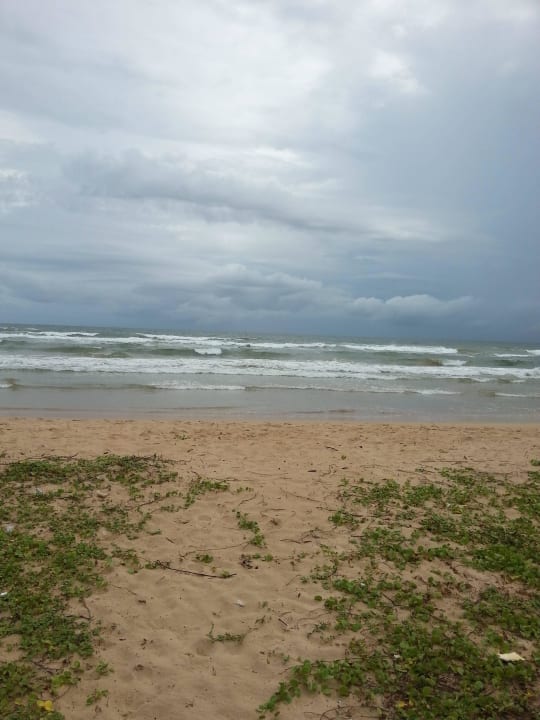 Cherry lodge Cherry lodge bentota