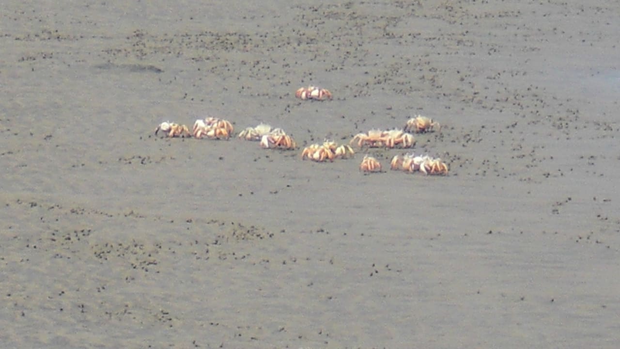 Lahami Bay 2013 Lahami Bay Beach Resort