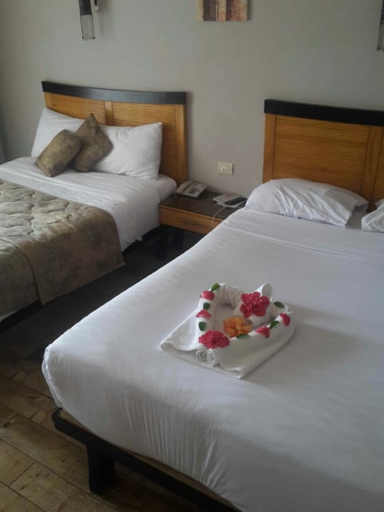 Zimmer Prima Life Makadi Resort