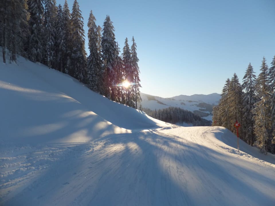 Winterimpression moser - HOCHKÖNIG Genuss Wirtshaus Hotel