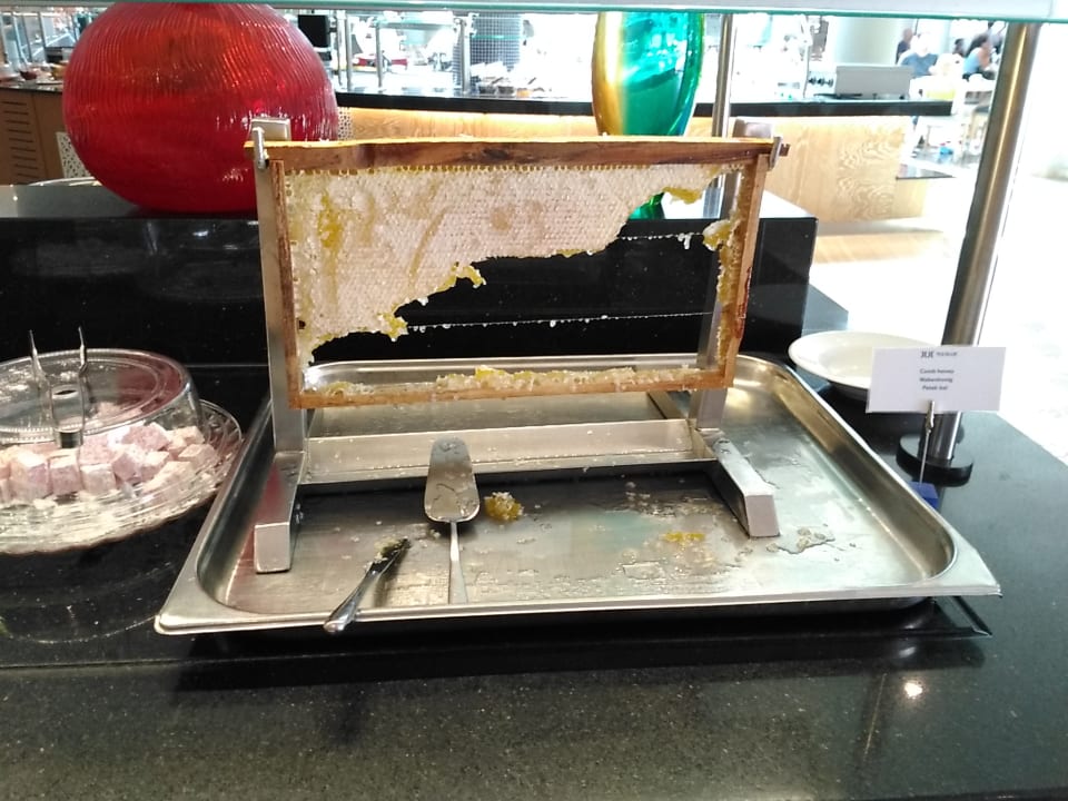 Gastro TUI BLUE Palm Garden