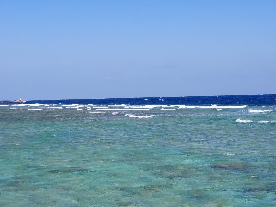 Ausblick Pickalbatros Palace Hotel-Port Ghalib