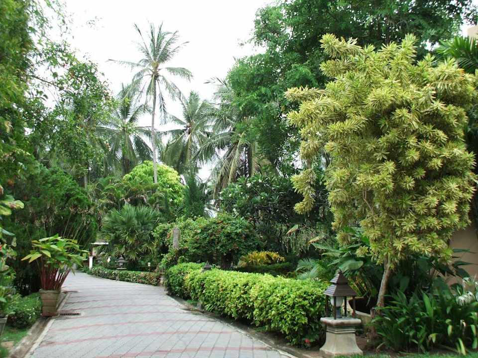 Gartenanlage The Fair House Beach Resort