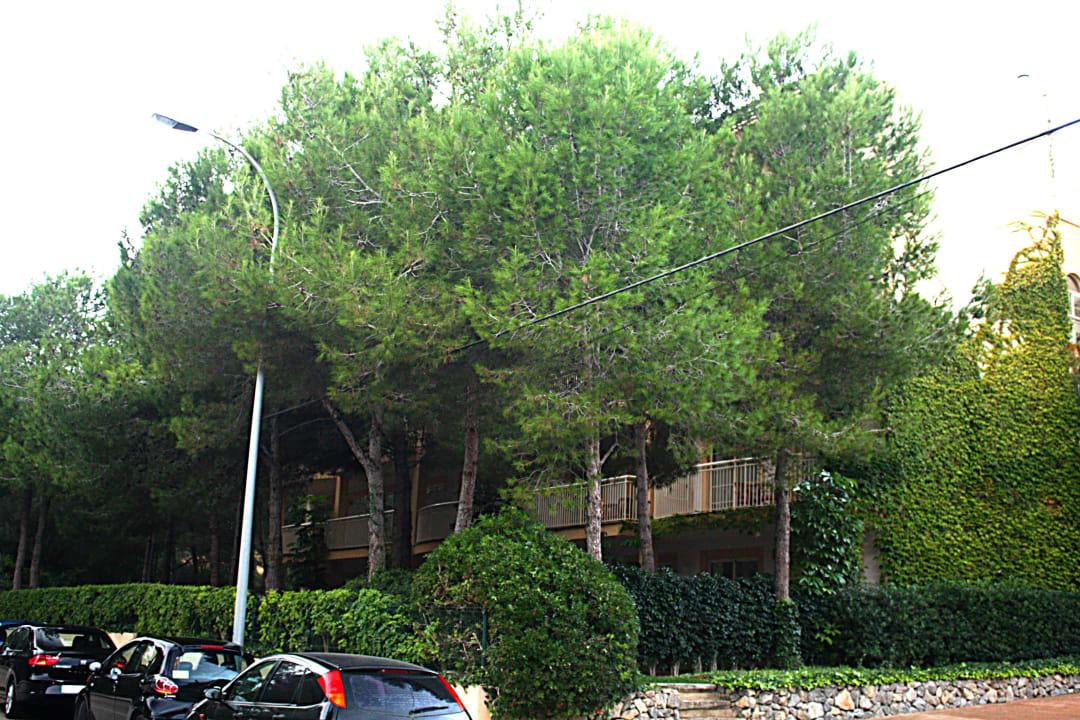 Verstecktes Haus VIVA Cala Mesquida Suites & Spa 16+