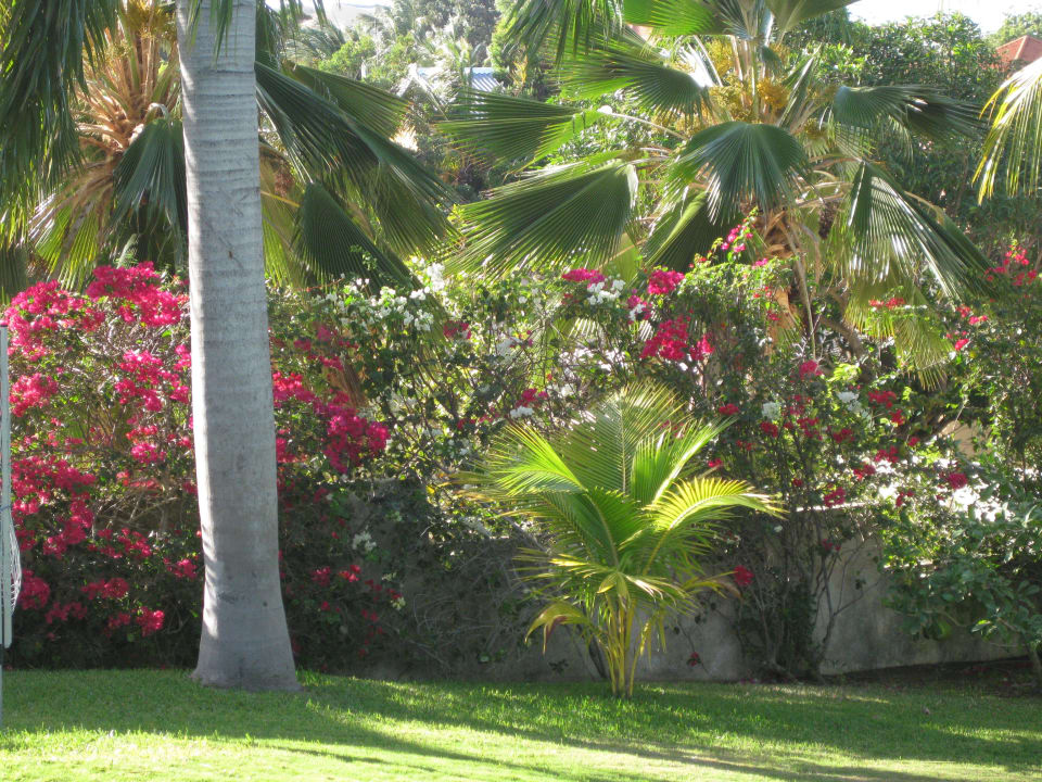Entspannung Apartment Villa Karima
