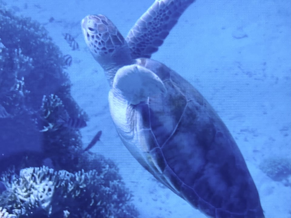 Sonstiges Dream Lagoon Resort & Aqua Park