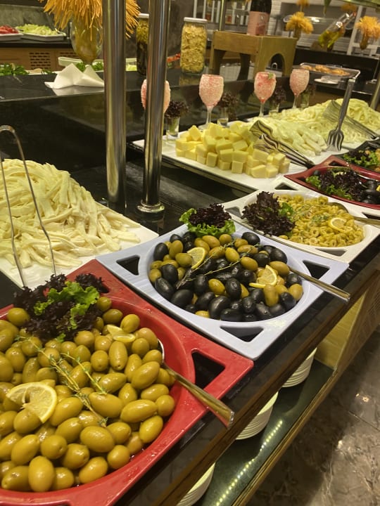 Gastro Seashell Vega