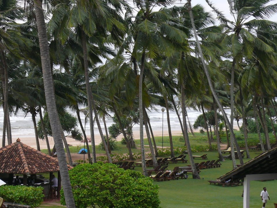 Garten Thaala Bentota