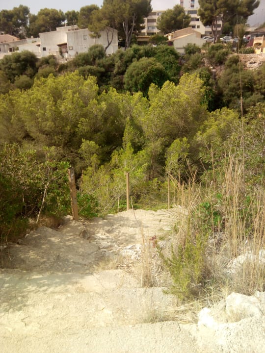 Ausblick HSM Canarios Park