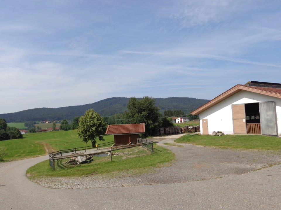 Zufahrsweg Erlebnisbauernhof Achatz