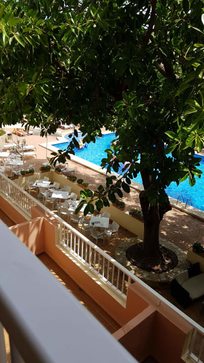 Ausblick THB Dos Playas - Adults only