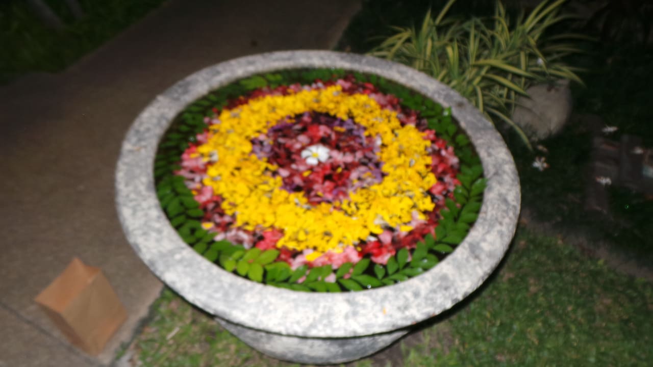 Sonstiges Banana Fan Sea Resort