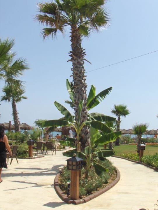 Weg zum Strand Siam Elegance Hotels & Spa