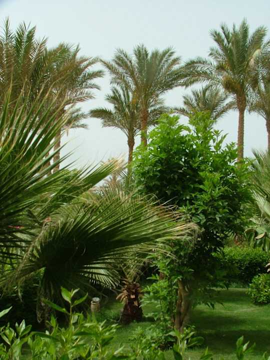 Paradis Riviera Aqua Park Resort