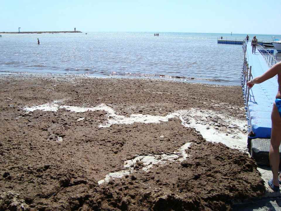 igitt Hotel Bravo Djerba