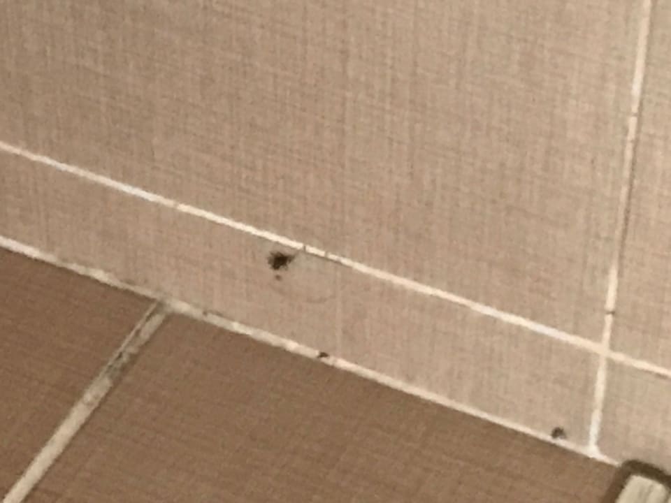 Zimmer Can Garden Beach