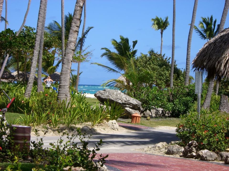 Vom Pool in Richtung Strand TRS Turquesa Hotel - Adults only