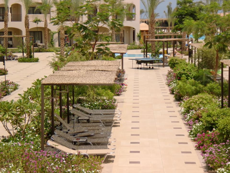 Schatten Plätze am Hauptpool JAZ Aquamarine Resort