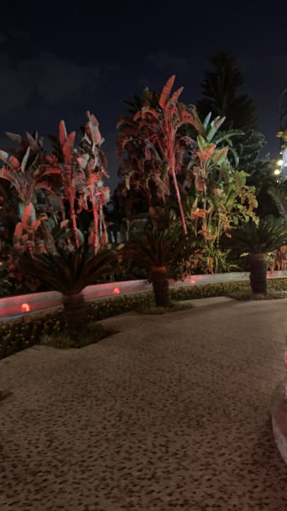 Gartenanlage Hotel Delphin Imperial