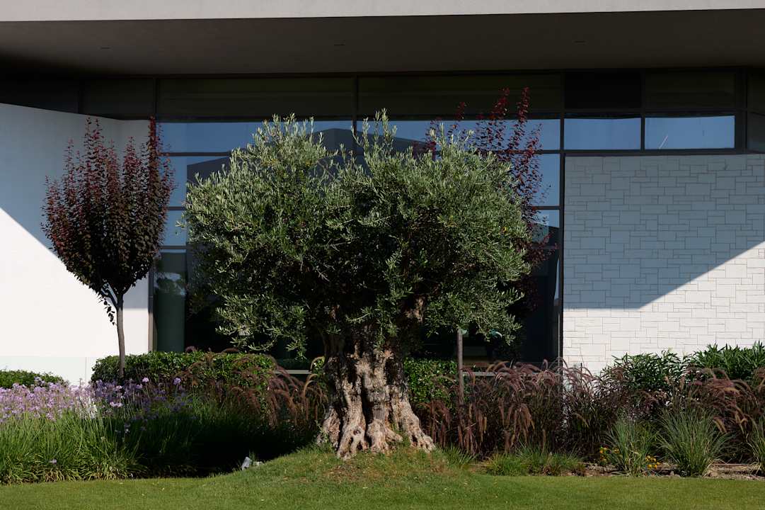 Außenansicht Atlantica Dreams Resort