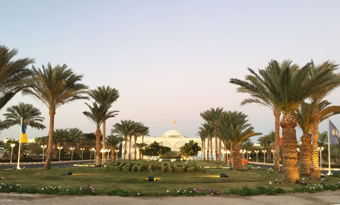 Gartenanlage Desert Rose