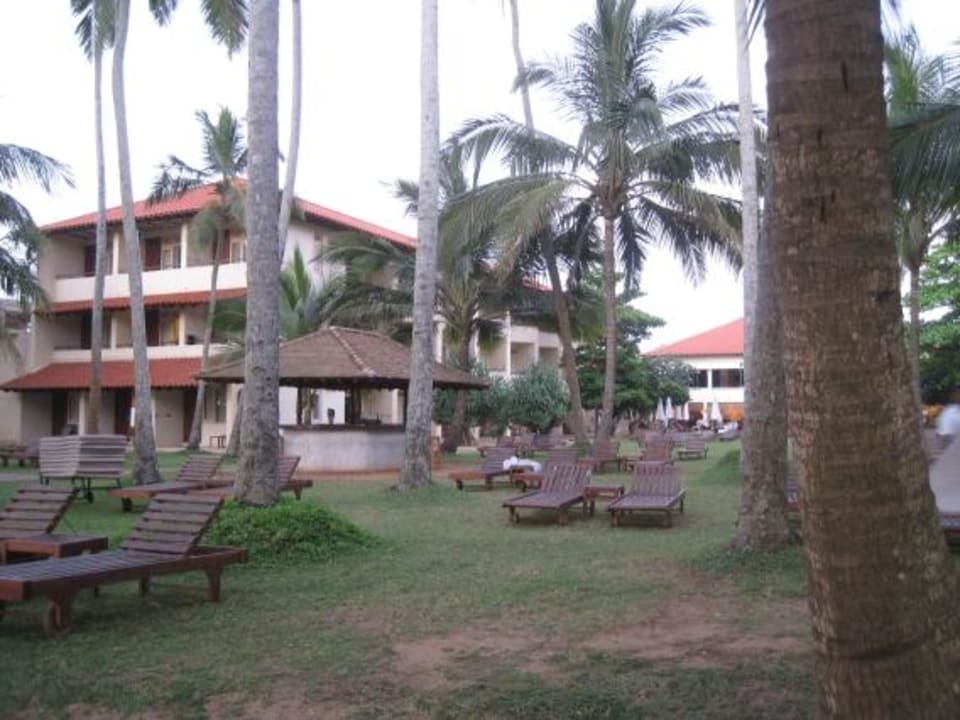 Poolbar und Gartenanlage Mermaid Hotel & Club