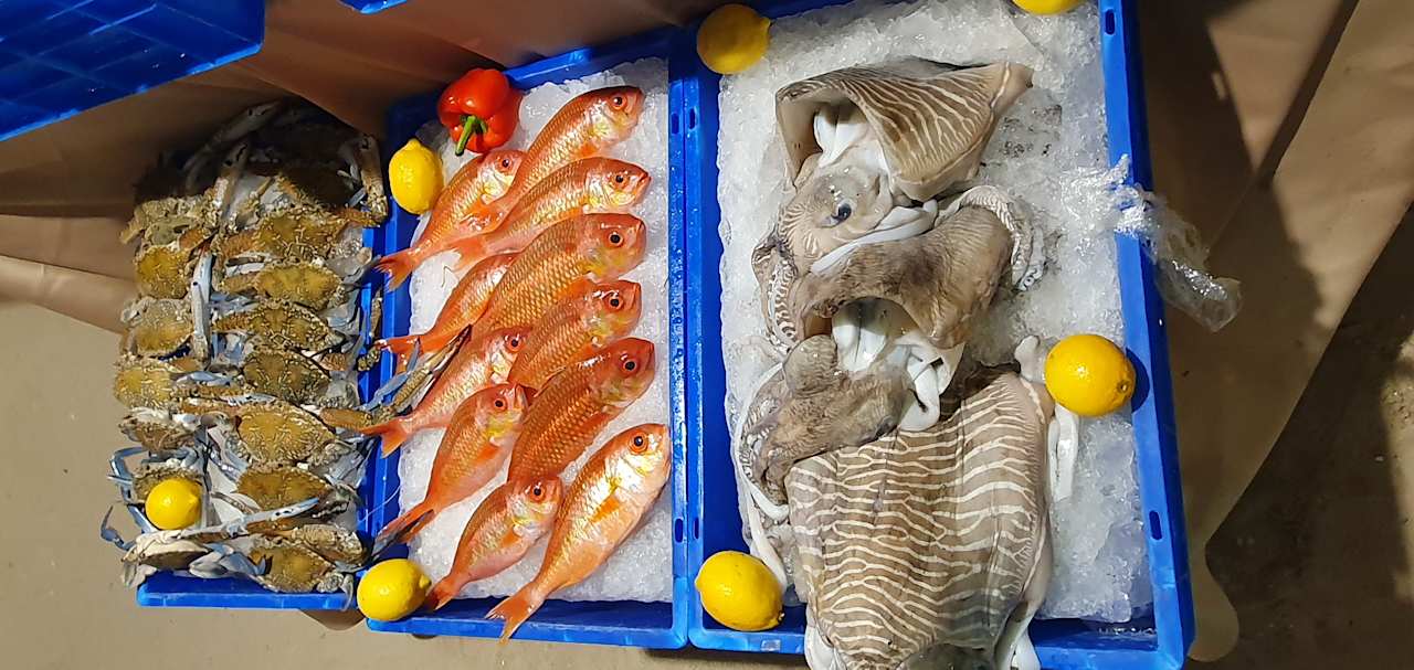 Gastro Salalah Rotana Resort