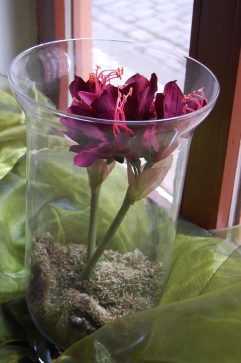 Fensterdekoration Bed & Breakfast Dartenne