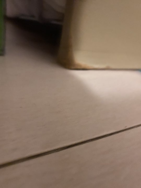 Zimmer blau punta reina