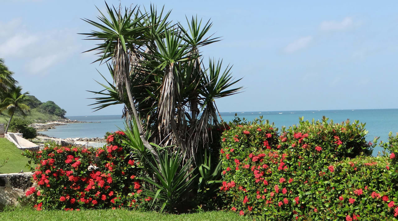 Blick aufs Meer Hotel Tucan Siho Playa