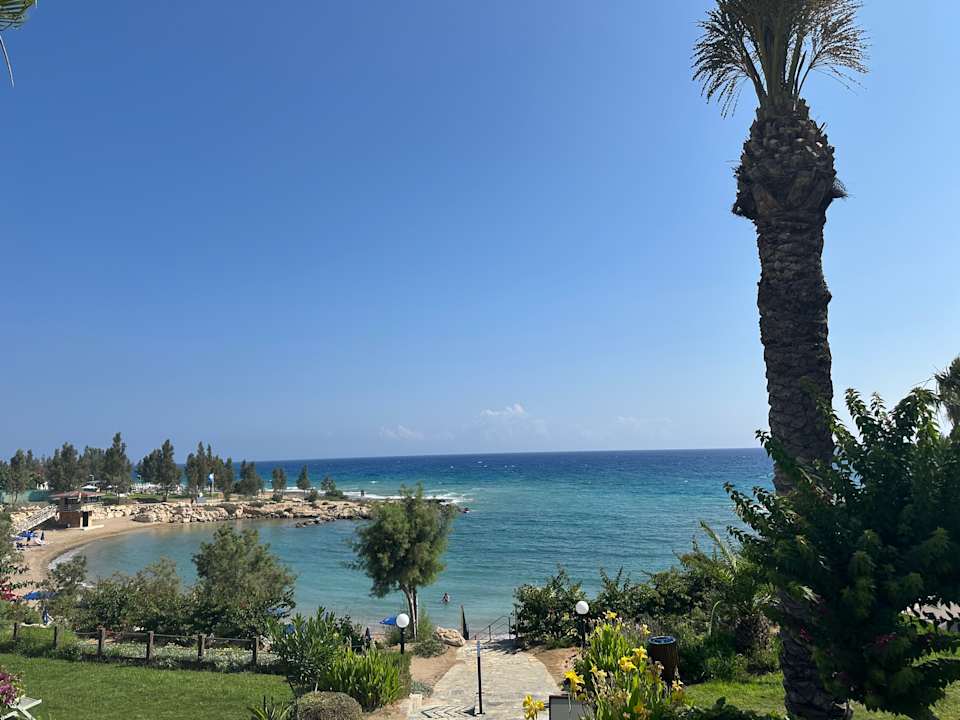 Gastro Crystal Springs Beach Hotel