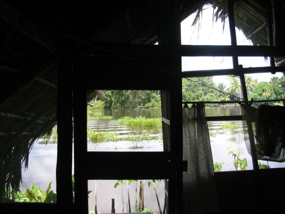 Vista al delta desde la habitación Hotel Orinoco Delta Lodge