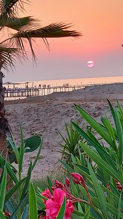 Strand Önder Yildiz Hotel