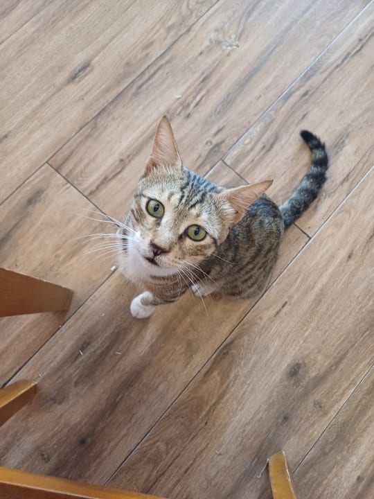 Sonstiges VONRESORT Golden Beach