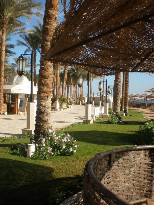 Strand Umgebung Makadi Palace