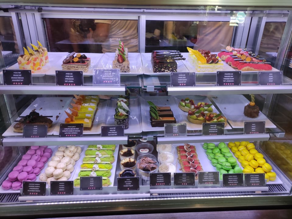 Gastro Acanthus Cennet Barut Collection