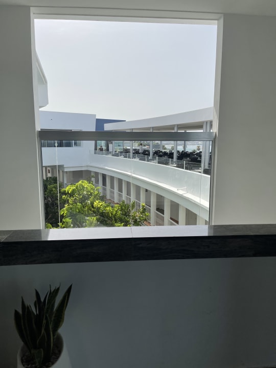 Ausblick Hotel Riu Palace Tenerife