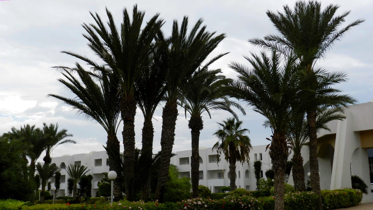 Zimmer Hotel El Mouradi Djerba Menzel