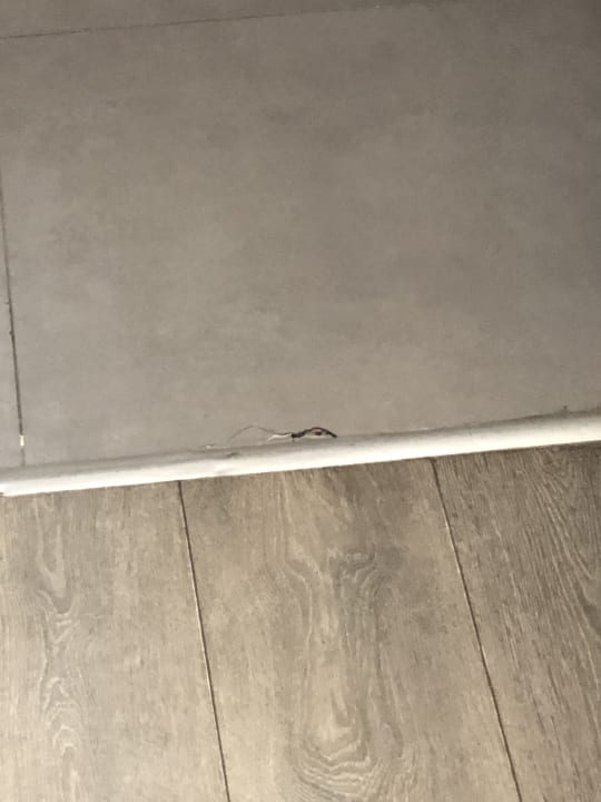 Zimmer Hane Family Resort