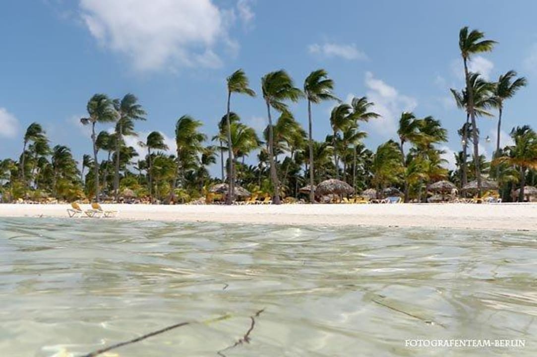 Strand vom Wasser aus Catalonia Punta Cana - All Inclusive