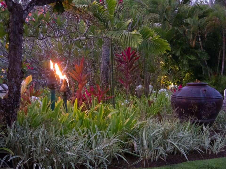 Bei Dämmerung The Laguna A Luxury Collection Resort & Spa