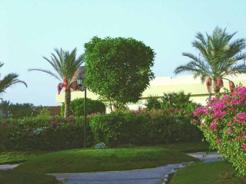 Wunderschöne Gartenanlage Pickalbatros Dana Beach Resort - Hurghada